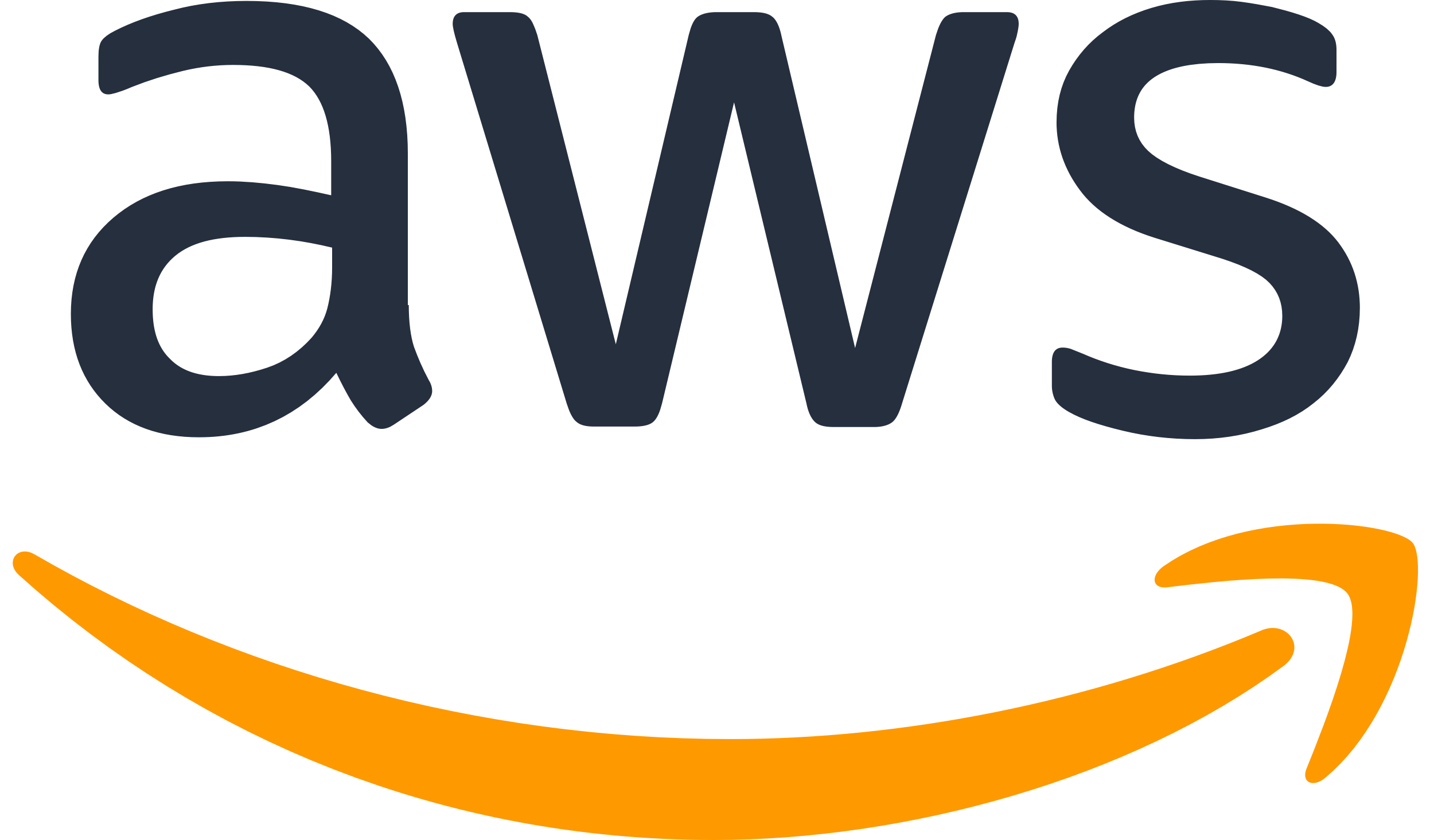 AWS Professional Training